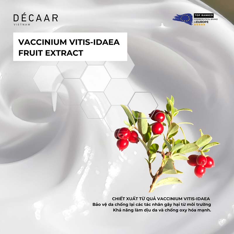 Vaccinium Vitis-Idaea - Bảo vệ da chống lại tác nhân môi trường