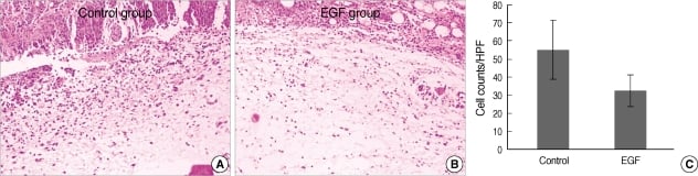 phục hồi da sau xâm lấn và điều trị sẹo mụn.