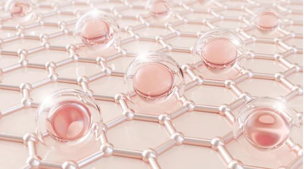 Hàng rào bảo vệ da chính là “áo giáp sinh học”