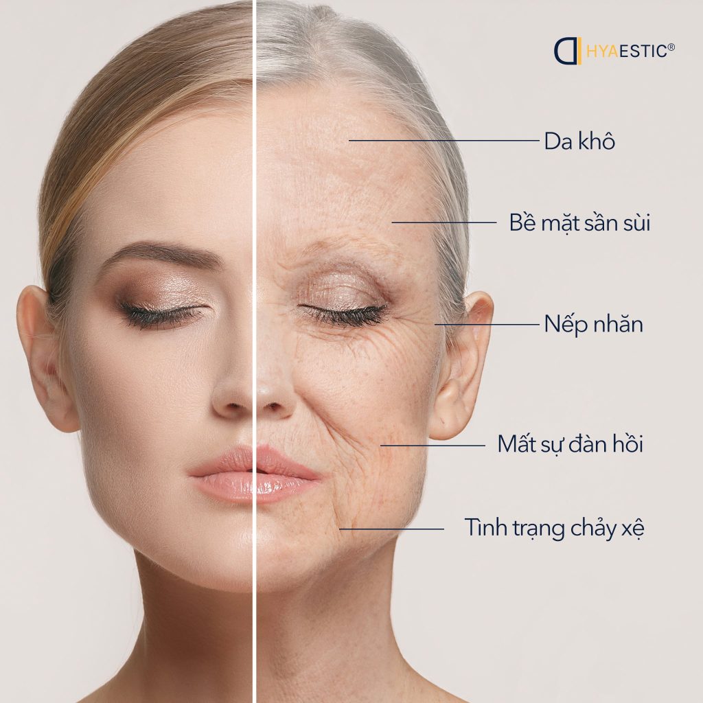 Hình: Mô phỏng làn da lão hóa