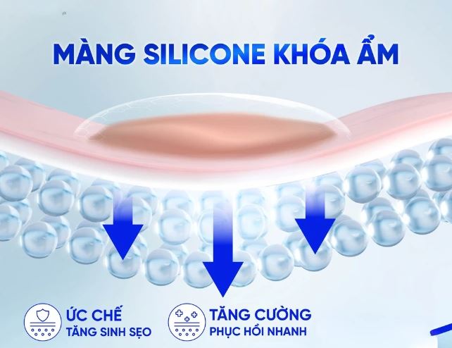 Hình: Mô tả khả năng khóa ẩm của Màng Silicone