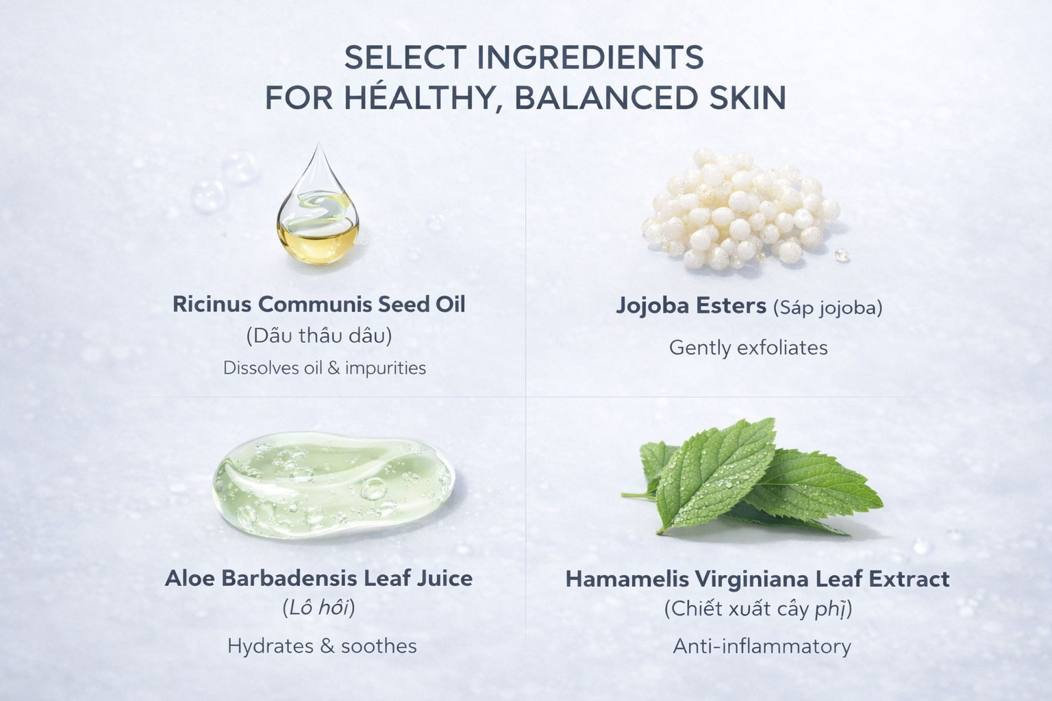 Hình: Thành phần Decaar Oxygen Scrub