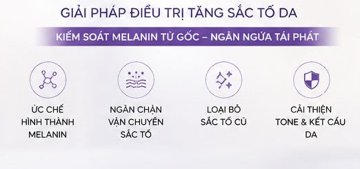 Hình: Công dụng của các hoạt chất có trong Melan Tran3x Concentrate