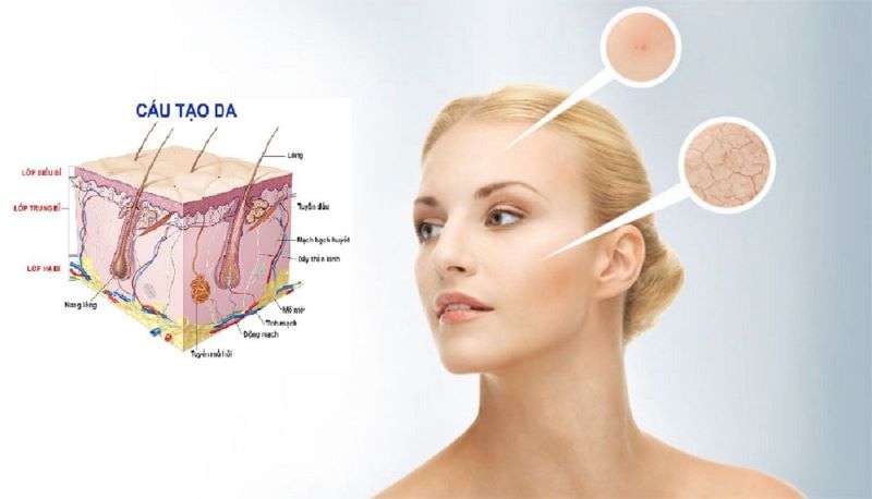 Décaar Oxygen: